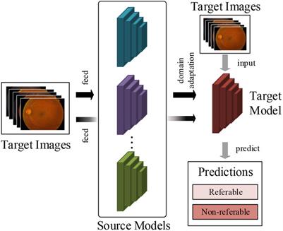 Multi-Model Domain Adaptation for Diabetic Retinopathy Classification